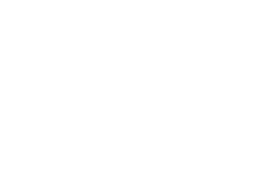 css3